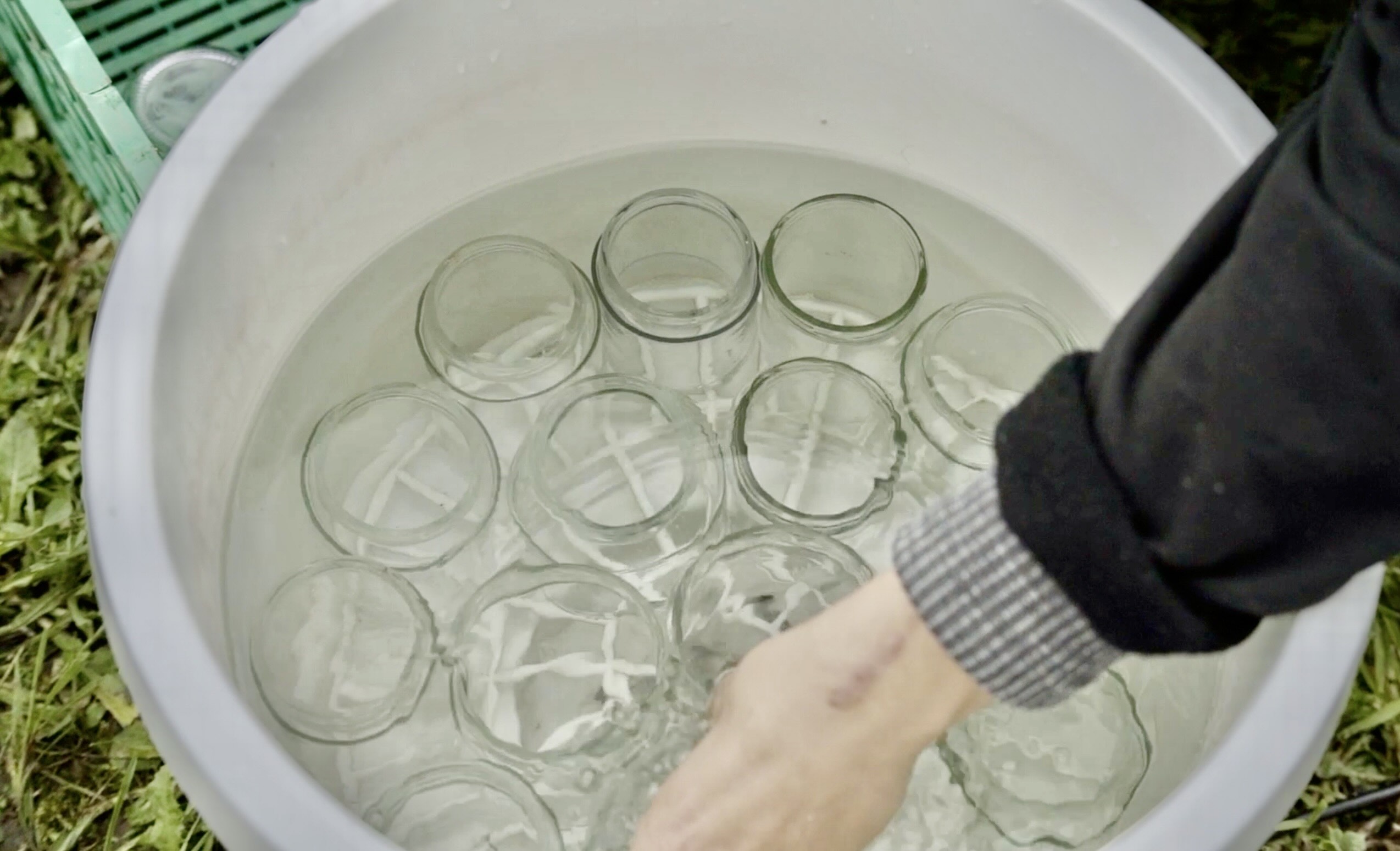 In einem Plastikbehälter stehen etwa 15 Einmachgläser im Wasser.